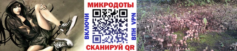 Галлюциногенные грибы Cubensis хочу Абаза